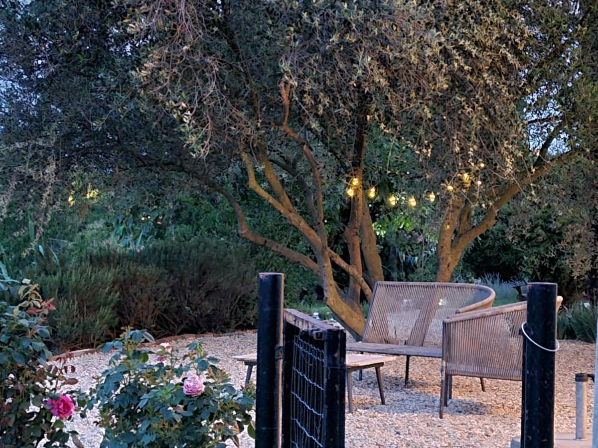 Tenuta Dei Vicini - Luxury Apartments San Marzano Oliveto エクステリア 写真