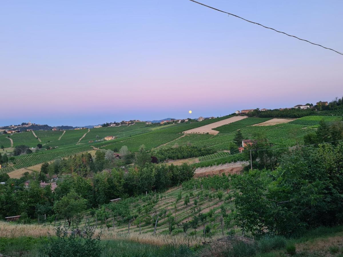 Tenuta Dei Vicini - Luxury Apartments San Marzano Oliveto エクステリア 写真