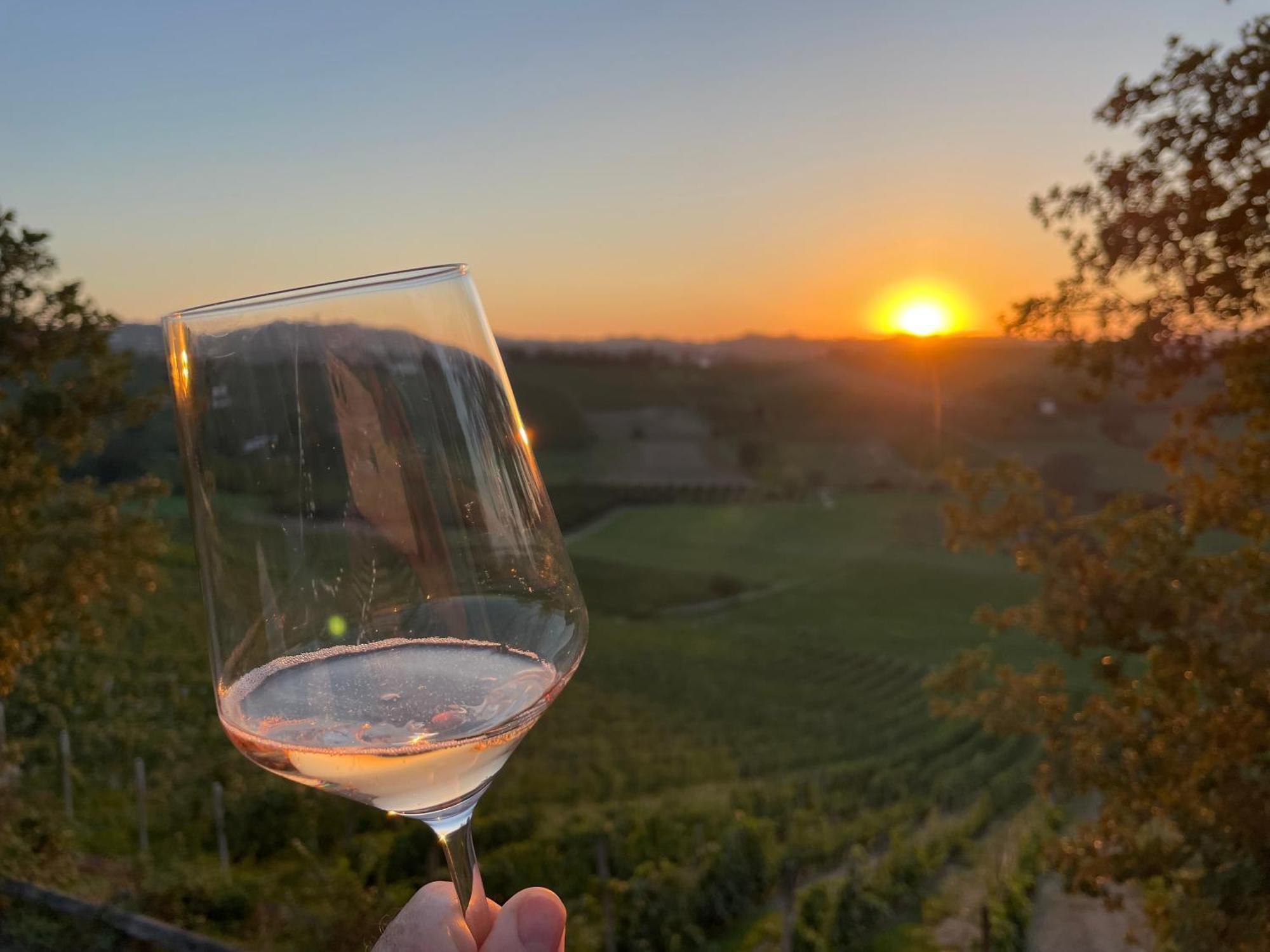 Tenuta Dei Vicini - Luxury Apartments San Marzano Oliveto エクステリア 写真